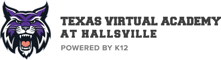 Texas Virtual Academy Hallsville